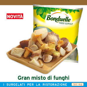 BON.GRAN MISTO FUNGHI KG1 BONDUELLE