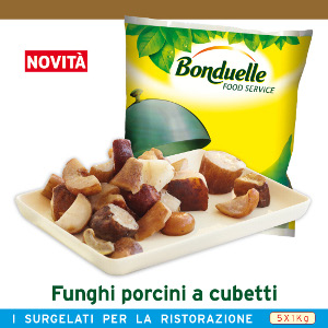 BON.FUNGHI PORCINI A CUBETTI KG1 BONDUEL