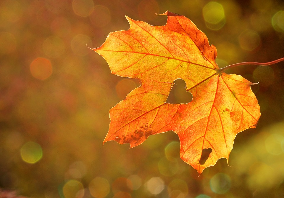 PERCHE’ SI SOFFRE DI MAL D’AUTUNNO?