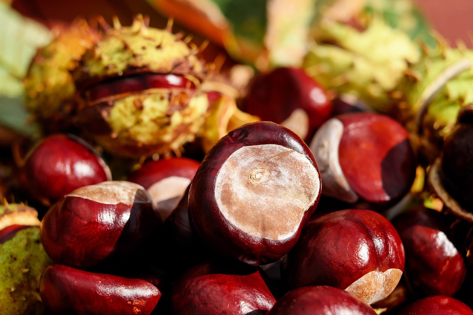 CROSTATA VEGANA ALLA CREMA DI CASTAGNE: ECCO LA RICETTA