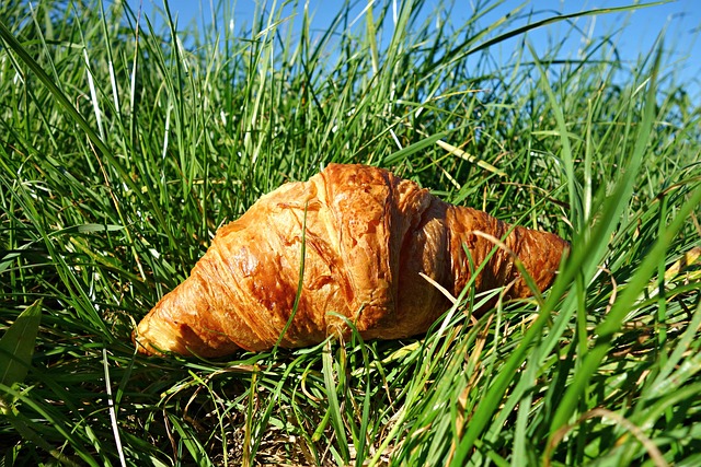 Il gusto del croissant vegano… ok o ko?